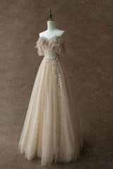 A Line Prom Dress Champagne Tulle Lace Long Formal Evening Gown Evening Dress