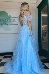 A Line Prom Dress V Neck Lace Tulle Evening Dress with Beading and Feathers