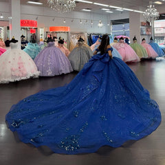 Ball Gown Off Shoulder Sleeveless Pleated 3D Flowers Appliques Bow Knot Sparkly Royal Blue Tulle Quinceanera Dress Evening Formal Gown Birthday Party Dress For Sweet 16