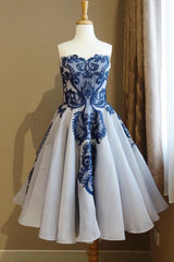 Blue Homecoming Dress Lace Tulle Short Party Cocktail Dress