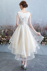 Champagne Homecoming Dress Tulle Lace High Low Short Party Cocktail Dress