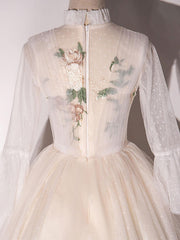 Champagne Prom Dress A Line Tulle Lace Long Formal Dress Evening Dress
