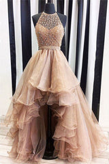 Champagne Prom Dress Tulle Beaded High Low Formal Gown Evening Dress