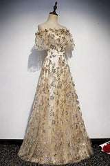 Champagne Prom Dress Tulle Lace Long Evening Dress