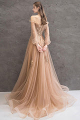 Champagne Prom Dress Tulle Lace Long Evening Dress