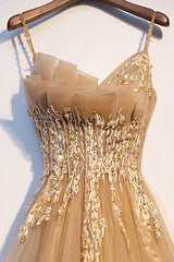 Champagne Prom Dress Tulle Lace Long Formal Dress Evening Dress