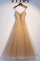 Champagne Prom Dress Tulle Lace Long Formal Dress Evening Dress