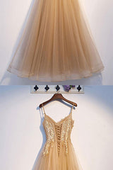 Champagne Prom Dress Tulle Lace Long Formal Dress Evening Dress