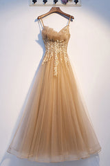 Champagne Prom Dress Tulle Lace Long Formal Dress Evening Dress