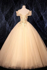 Champagne Prom Dress V Neck Tulle Lace Long Evening Dress