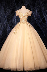 Champagne Prom Dress V Neck Tulle Lace Long Evening Dress