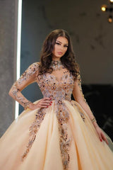 Dressystars Champagne Wedding Dress Sleeves High Neck Beaded Ball Gown Tulle Bridal Gown With Rhinestone
