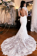 Dressystars Mermaid Wedding Dress V Neck Backless Lace Bridal Gown With Sleeves