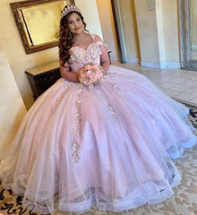 Elegant Ball Gown One Shoulder 3D Floral Lace Appliques Pink Tulle Princess Gown Quinceanera Dress For Sweet 16