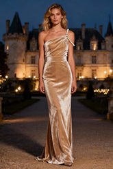 Dressystars Elegant Champagne Mermaid Long Velvet Holiday Party Dress With Pearls
