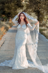 Mermaid Wedding Dress Long Sleeve Ivory Bridal Gown with Lace Appliques