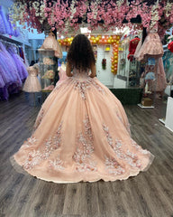Luxury & Glamorous Ball Gown Off Shoulder Sleeveless 3D Flowers Lace Appliques Champagne Tulle Princess Evening Party Dress Quinceanera Dresses For Sweet 16