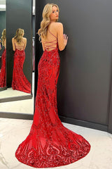 Mermaid Prom Dress Sequin Long Elegant with Sweep TrainEvening Dress