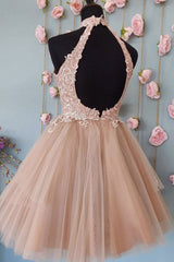 Pink Homecoming Dress Tulle Lace Short Party Cocktail Dress