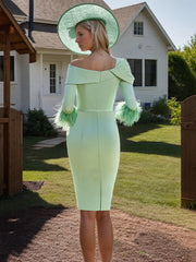 Pleated One-Shoulder 3/4 Sleeve Sheath/Column Dress with Feather for Mother of the Bride & Groom
