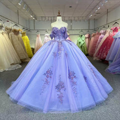 Purple Quinceanera Dress Sweet 15 Evening Dress Crystal Sleeveless Ball Gown Sweet 16 Dress