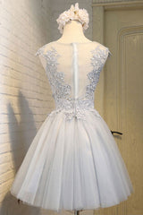Simple Homecoming Dress Round Neck Lace Appliques Tulle Short Party Cocktail Dress