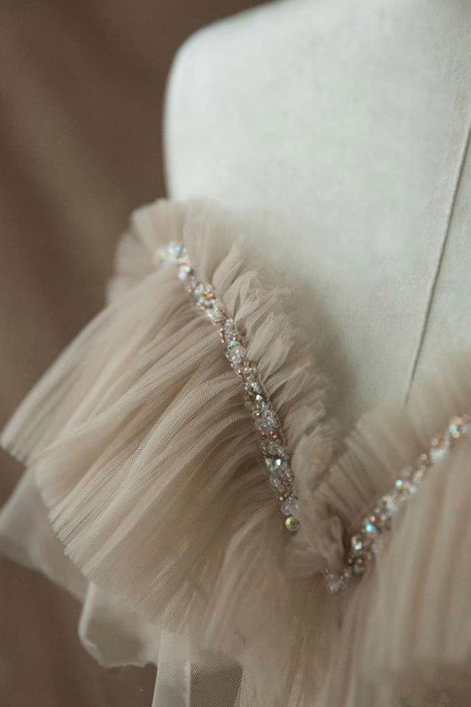 A Line Prom Dress Champagne Tulle Lace Long Formal Evening Gown Evening Dress