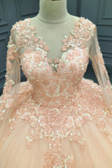 Ball Gown V Neck Long Sleeves 3D Flower Appliques Beaded Pink Tulle Evening Party Gown Quinceanera Dress For Sweet 16