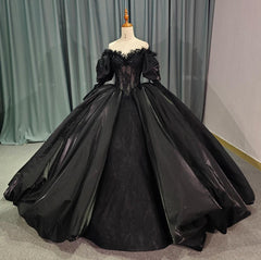 Black Off the Shoulder Quinceanera Dress Long Sleeve Ball Gown Sweet 16 Dress