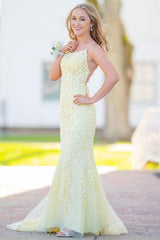 Blue Lace Mermaid Backless Prom Dress Tulle Evening Dress