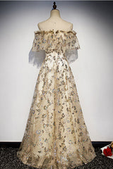 Champagne Prom Dress Tulle Lace Long Evening Dress