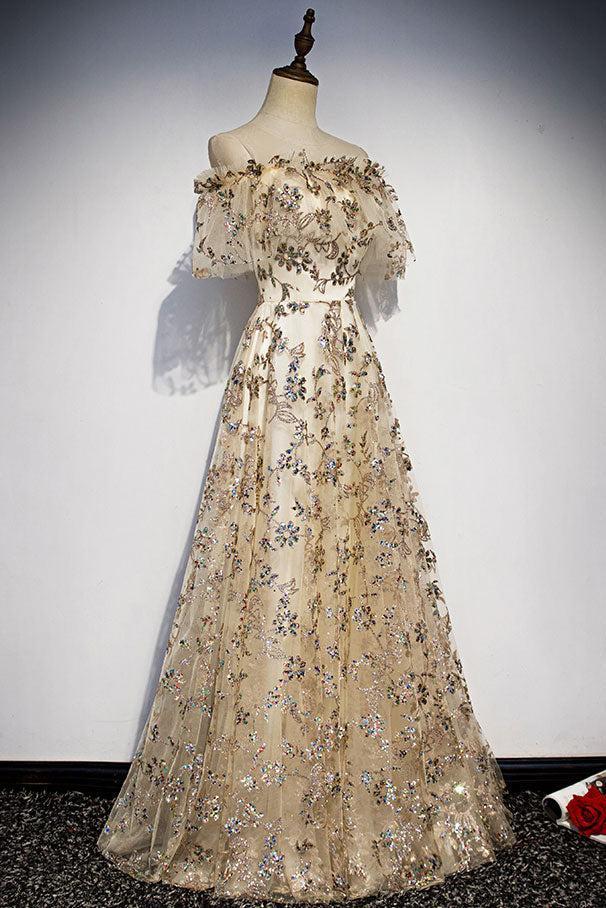 Champagne Prom Dress Tulle Lace Long Evening Dress