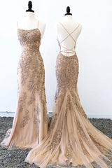 Champagne Prom Dress Tulle Lace Long Evening Dress