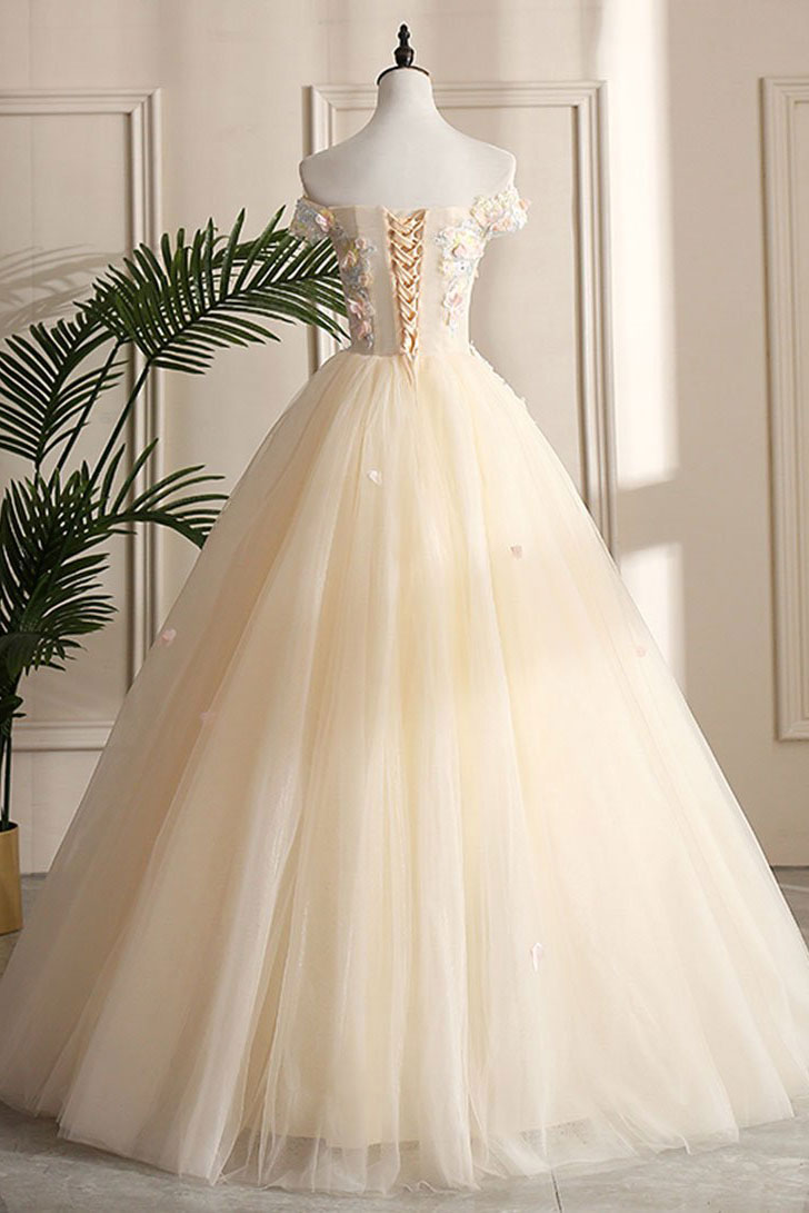 Champagne Prom Dress Tulle Lace Long Formal Evening Dress