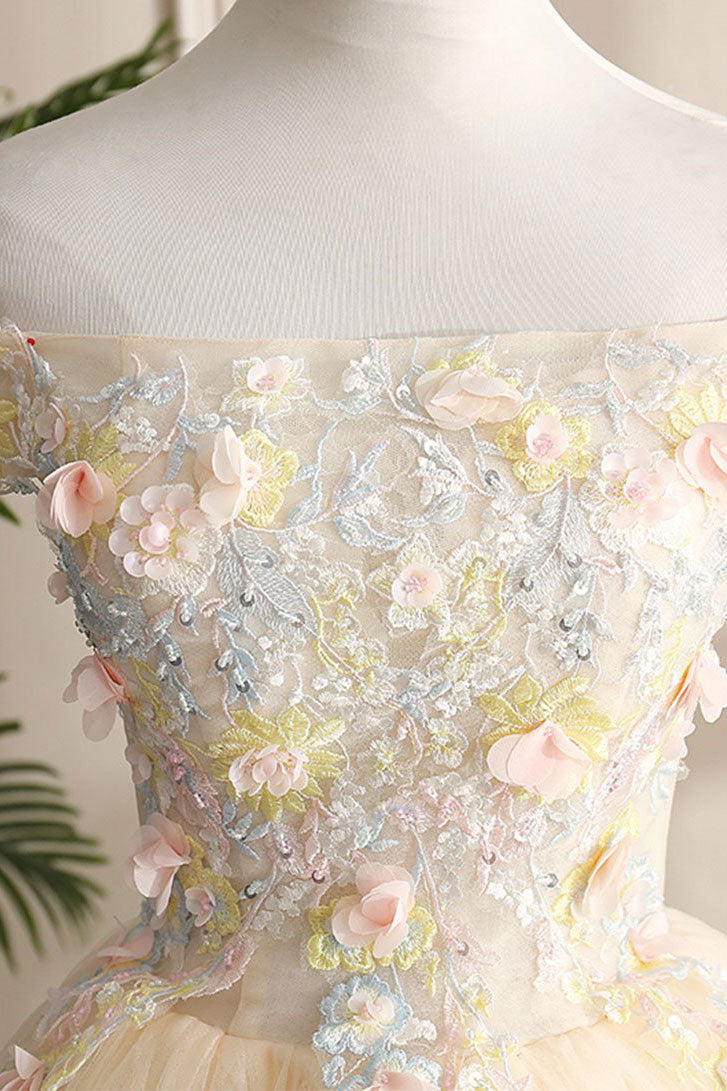 Champagne Prom Dress Tulle Lace Long Formal Evening Dress