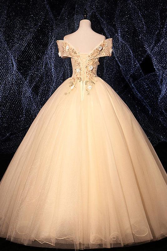Champagne Prom Dress V Neck Tulle Lace Long Evening Dress