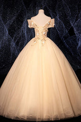 Champagne Prom Dress V Neck Tulle Lace Long Evening Dress
