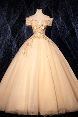 Champagne Prom Dress V Neck Tulle Lace Long Evening Dress