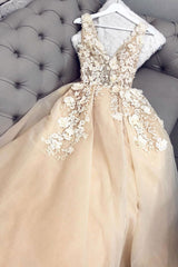 Champagne Prom Dress V Neck Tulle Lace Long Evening Dress
