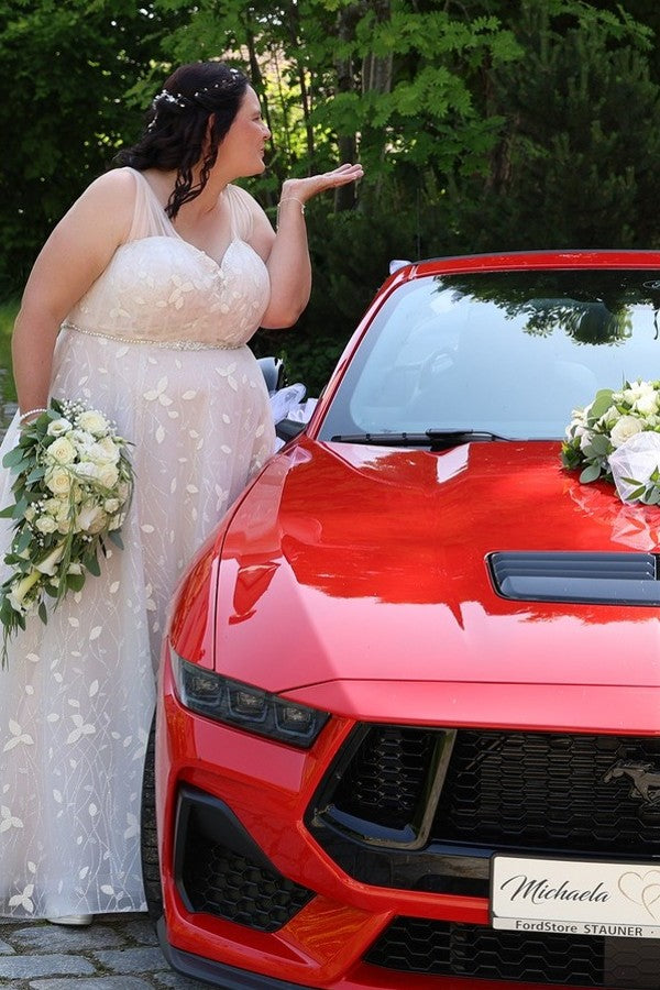 Dressystars Plus Size Wedding Dresses V Neck A Line Tulle Lace Bridal Gowns