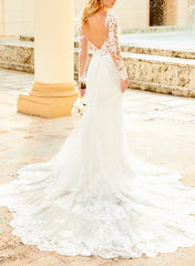 Elegant Lace/Tulle Wedding Dress with Long Sleeves and V Neck