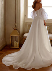 Elegant Organza Wedding Dress with Beading and A Line Silhouette
