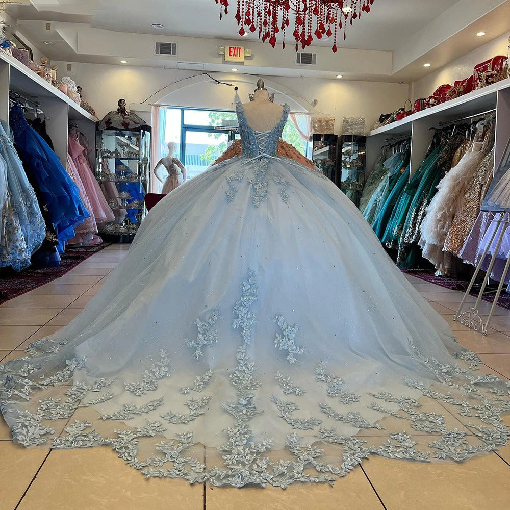 Glamorous Ball Gown Sweetheart Neck Straps Sleeveless Floral Lace Applique Light Blue Tulle Princess Gown Quinceanera Dress For Sweet 16