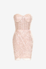 Homecoming Dress Pretty Champagne Bodycon Heart shaped Sequin Short Party Cocktail Dress