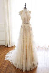 Light Champagne Prom Dress Tulle Lace Long Formal Gown Evening Dress