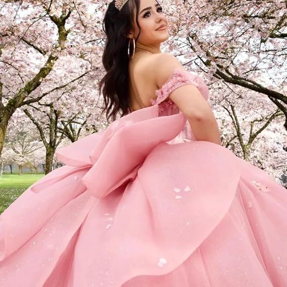 Pink 15 Birthday Party Dresses Off Shoulder 3D Appliques Ball Gown Quinceanera Dress For 15 Pink 15 Birthday Party Dresses Off Shoulder 3D Appliques Ball Gown Quinceanera Dress For 15