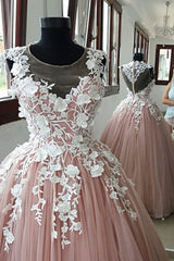Pink Prom Dress Crew Neck Tulle Lace Appliques e Long Evening Dress