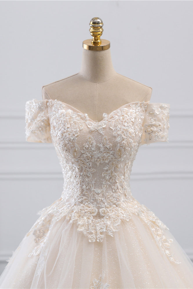 Princess Off the Shoulder Tulle Wedding Dress with Lace Appliques
