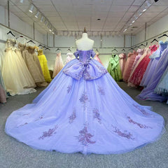 Purple Quinceanera Dress Sweet 15 Evening Dress Crystal Sleeveless Ball Gown Sweet 16 Dress