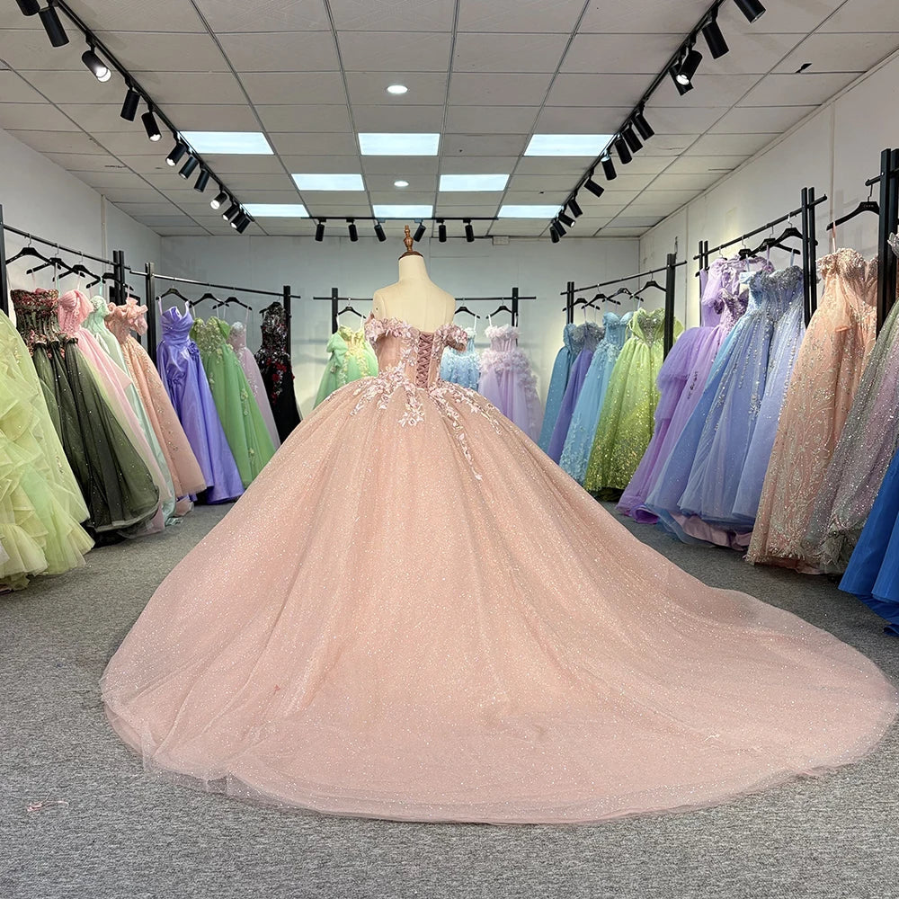 Scoop Neck Quinceanera Prom Dress Ball Gown Appliques Princess Long Glitter Sweet 16 Dress